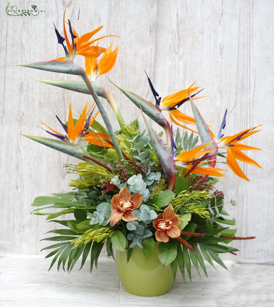 flower delivery Budapest - Exclusive floral composition with Strelizia