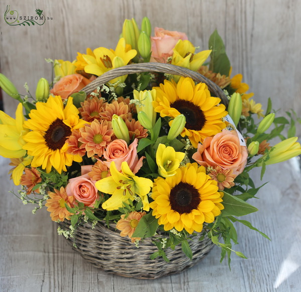 flower delivery Budapest - yellow peach colored flowerbasket with sunflower (21 st)
