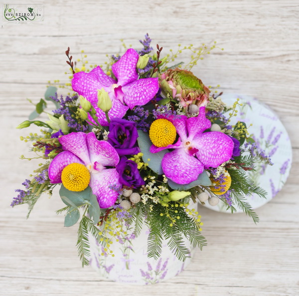 Virágküldés Budapest - Virágmintás doboz Vanda orchideával és apró virágokkal (13 szál)