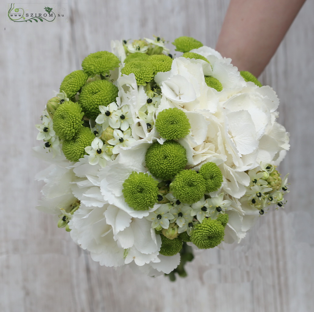 bridal bouquet (hydrangeam ornithogalum, chrysanthemum, white, green)