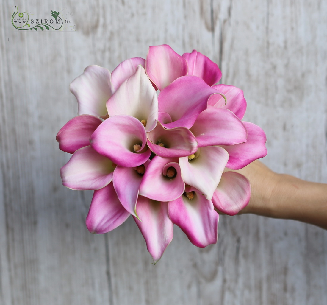 bridal bouquet (cala, pink)