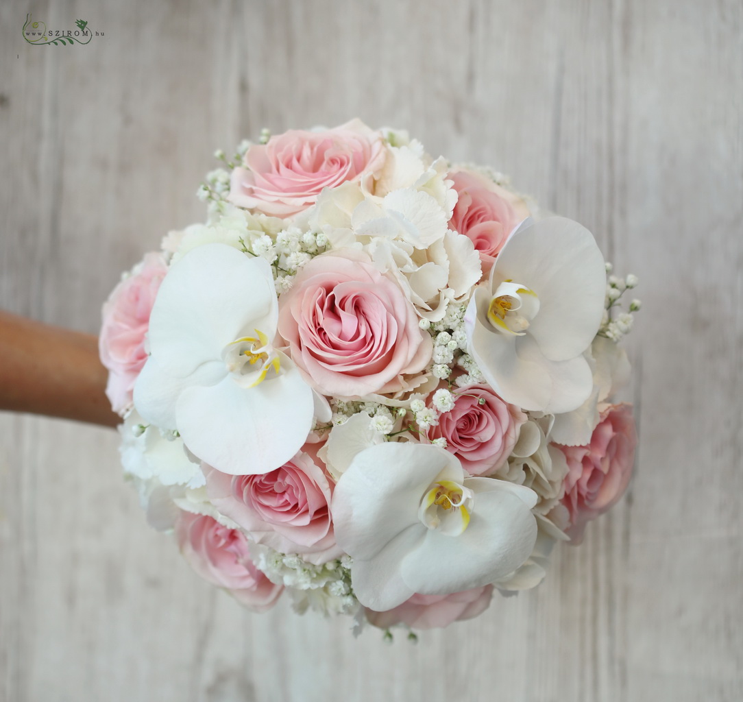 bridal bouquet (hydrangea, phalaenopsis, orchid, rose, white, pink)