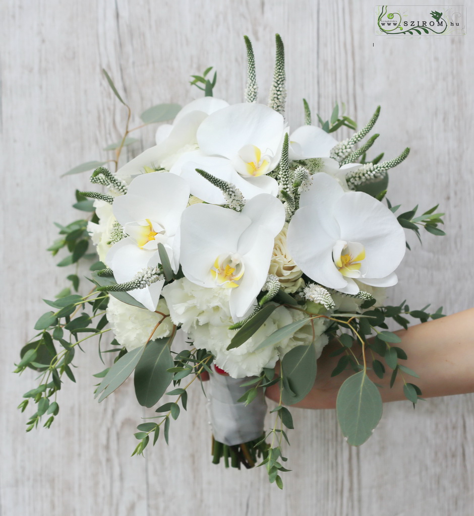 bridal bouquet (phalaenopsis, orchid, veronica, white)
