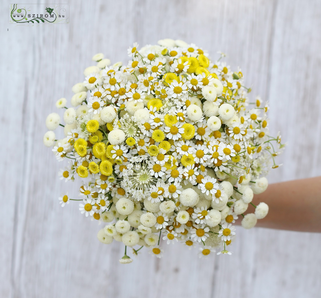 bridal bouquet (chamomile, matricaria, garden flower, wild flower, white, yellow)