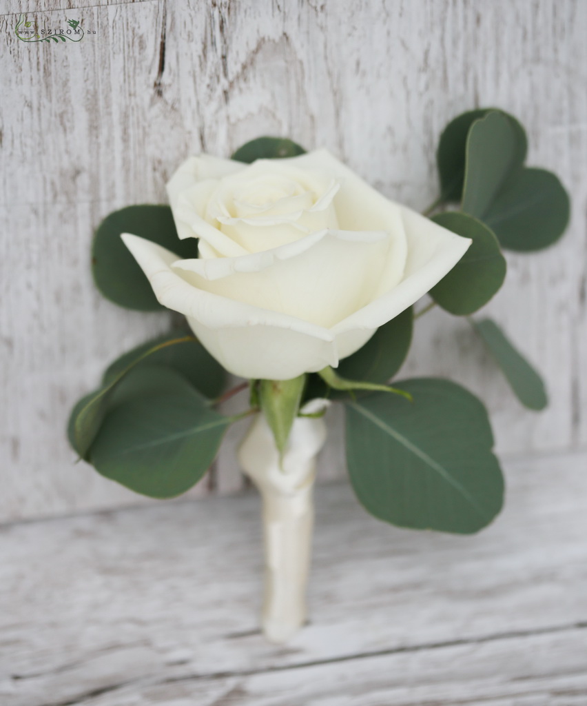 kitűző fehér rózsából