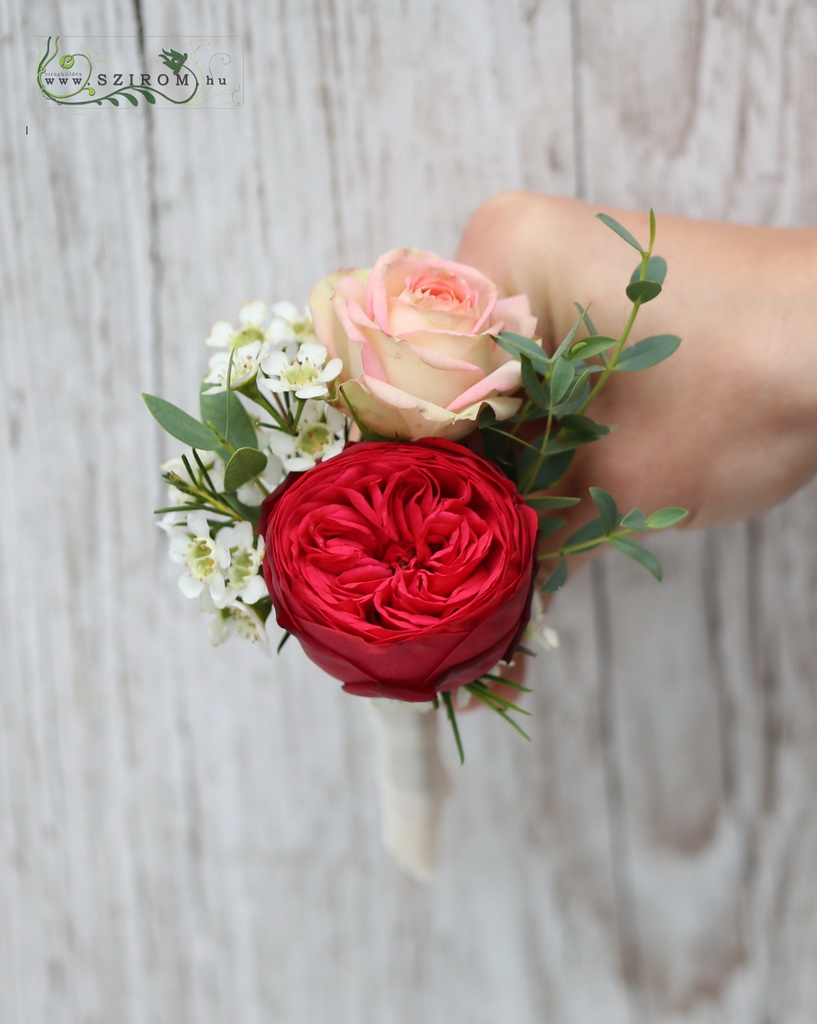 kitűző angol rózsából, rózsából és viaszvirágból (rózsaszín, vörös)