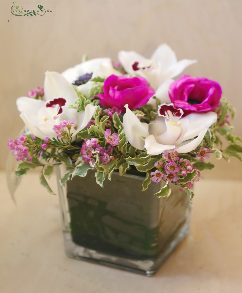 Asztaldísz üvegkockában (orhidea, anemone, viaszvirág, fehér, rózsaszín)