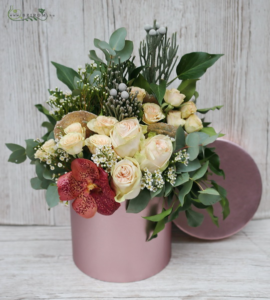 hengeres doboz barack rózsákkal, vanda orchideával (12 szál)