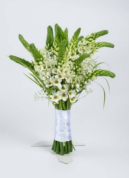 flower delivery Budapest - kis ornithogalum bouuet (15 stems)
