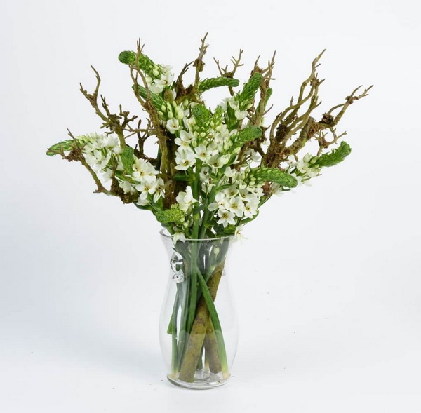 flower delivery Budapest - Ornithogalum with branches in vase (11 stems)