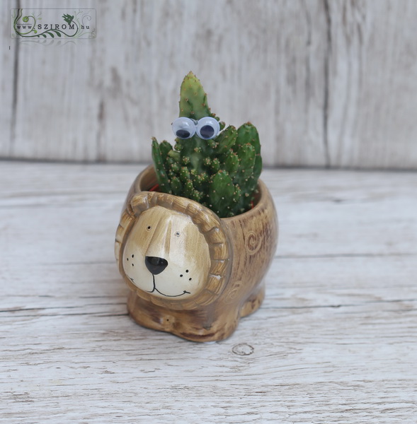 flower delivery Budapest - Cactus in small animal shaped pot 7cm