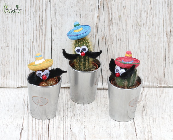 flower delivery Budapest - cactus with sombrero 1 piece