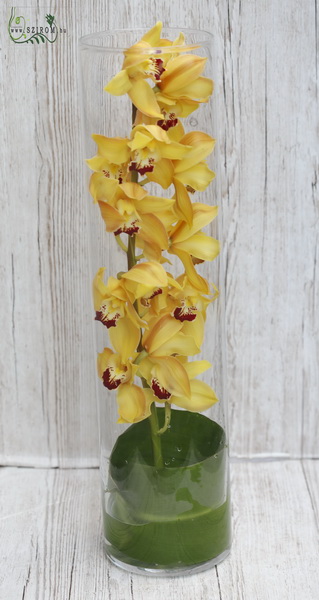 Blumenlieferung nach Budapest - Orchideenstiel in großer Vase