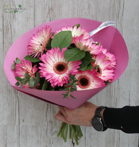 flower delivery Budapest - 10 bicolor gerberas in bouquet
