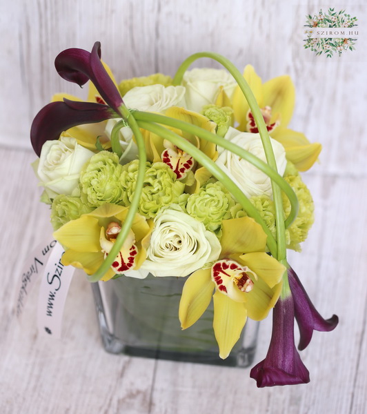 flower delivery Budapest - Modern glass cube with calla lilies, orchids and roses (18 stems)