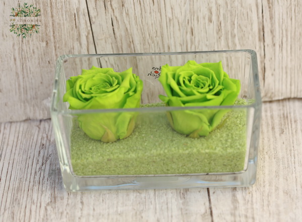 flower delivery Budapest - infinity rose (preserved) green, in glass