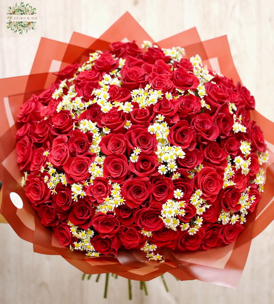 Blumenlieferung nach Budapest - 75 rote Rosen mit 20 Kamillen im Riesige Strauss 