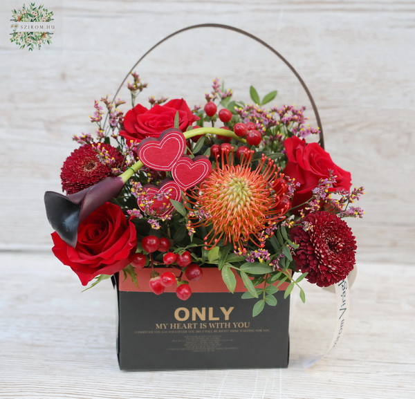 flower delivery Budapest - Bag box with red roses, pincushion protea, calla