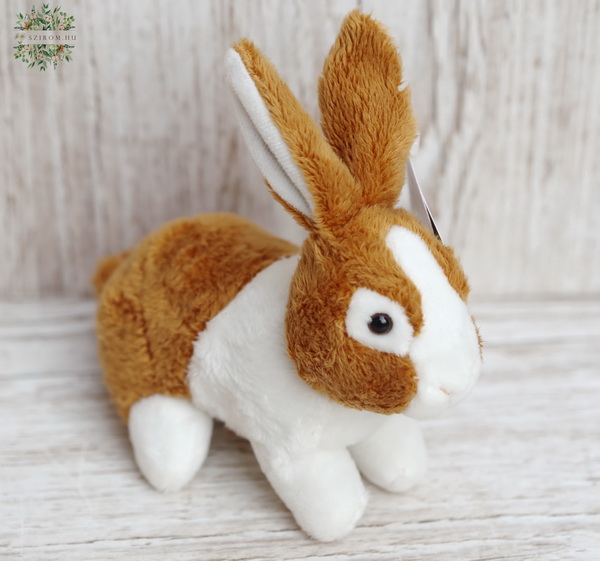 flower delivery Budapest - plush bunny 15cm