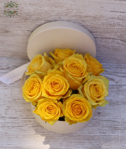 Blumenlieferung nach Budapest - 9 gelbe Rosen im Box