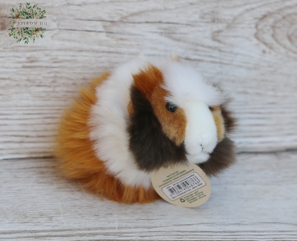 flower delivery Budapest - plush brown and white guinea pig (13cm)