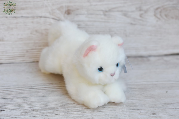 flower delivery Budapest - plush cat white (20cm)