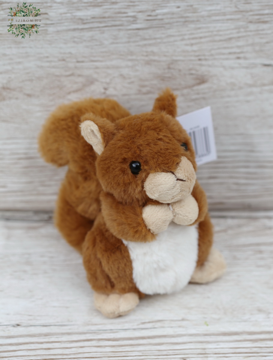 flower delivery Budapest - Plush squirrel 15 cm