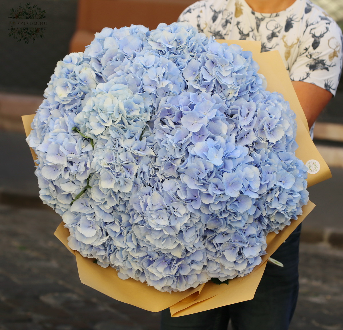 flower delivery Budapest - Giant Bouquet with hydrangea