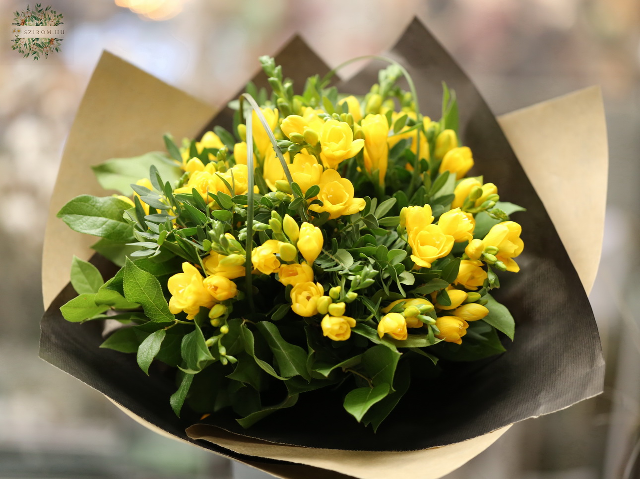 flower delivery Budapest - 25 stems yellow freesia bouquet