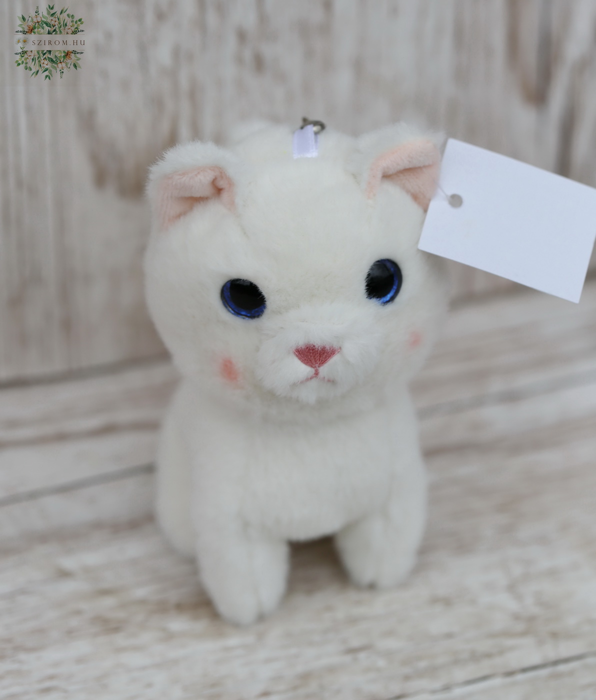flower delivery Budapest - Plush cat 13cm