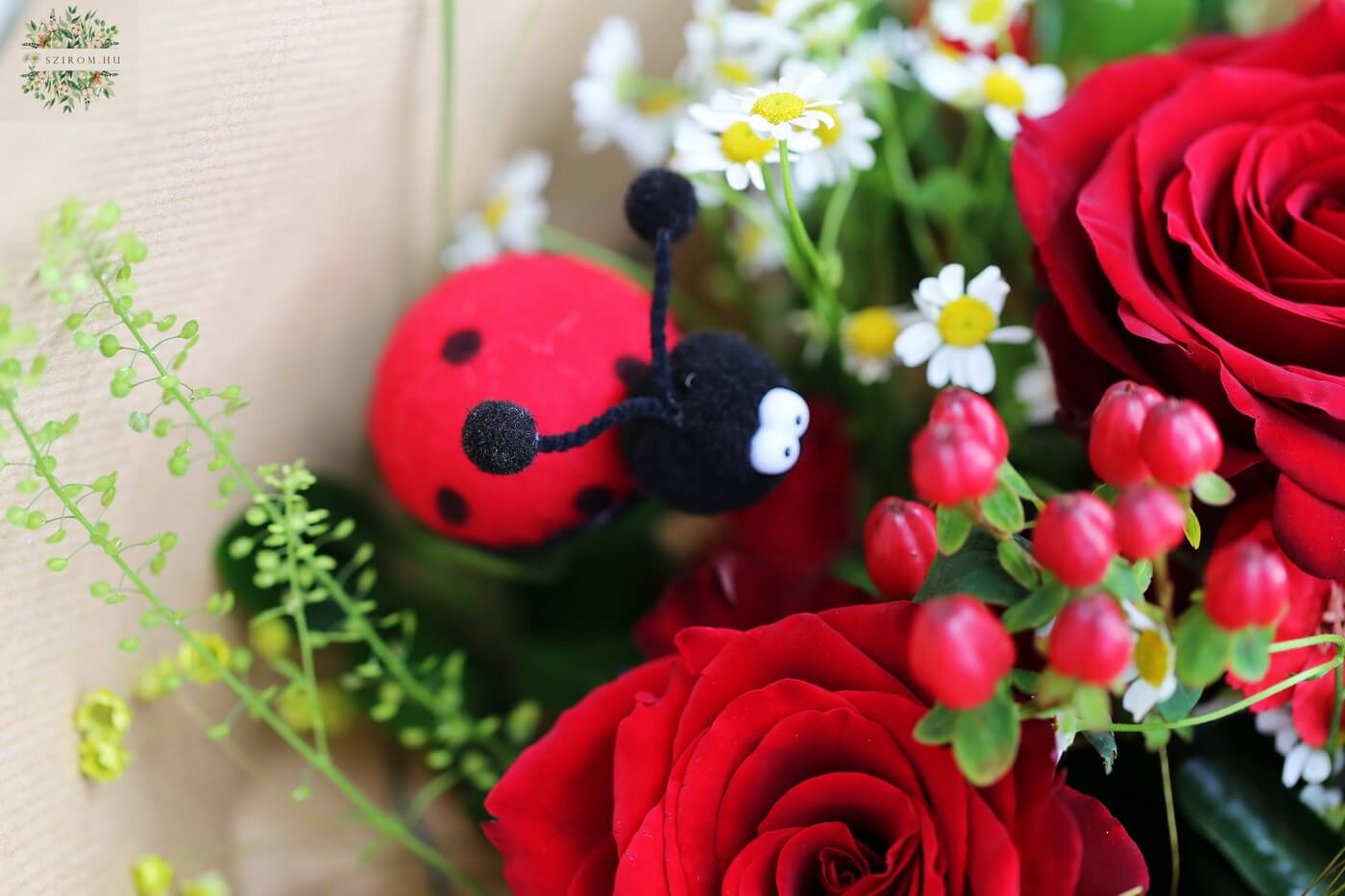 flower delivery Budapest - Red rose meadow bouquet with solomio dianthus, chamomile, ladybug (18 stems)