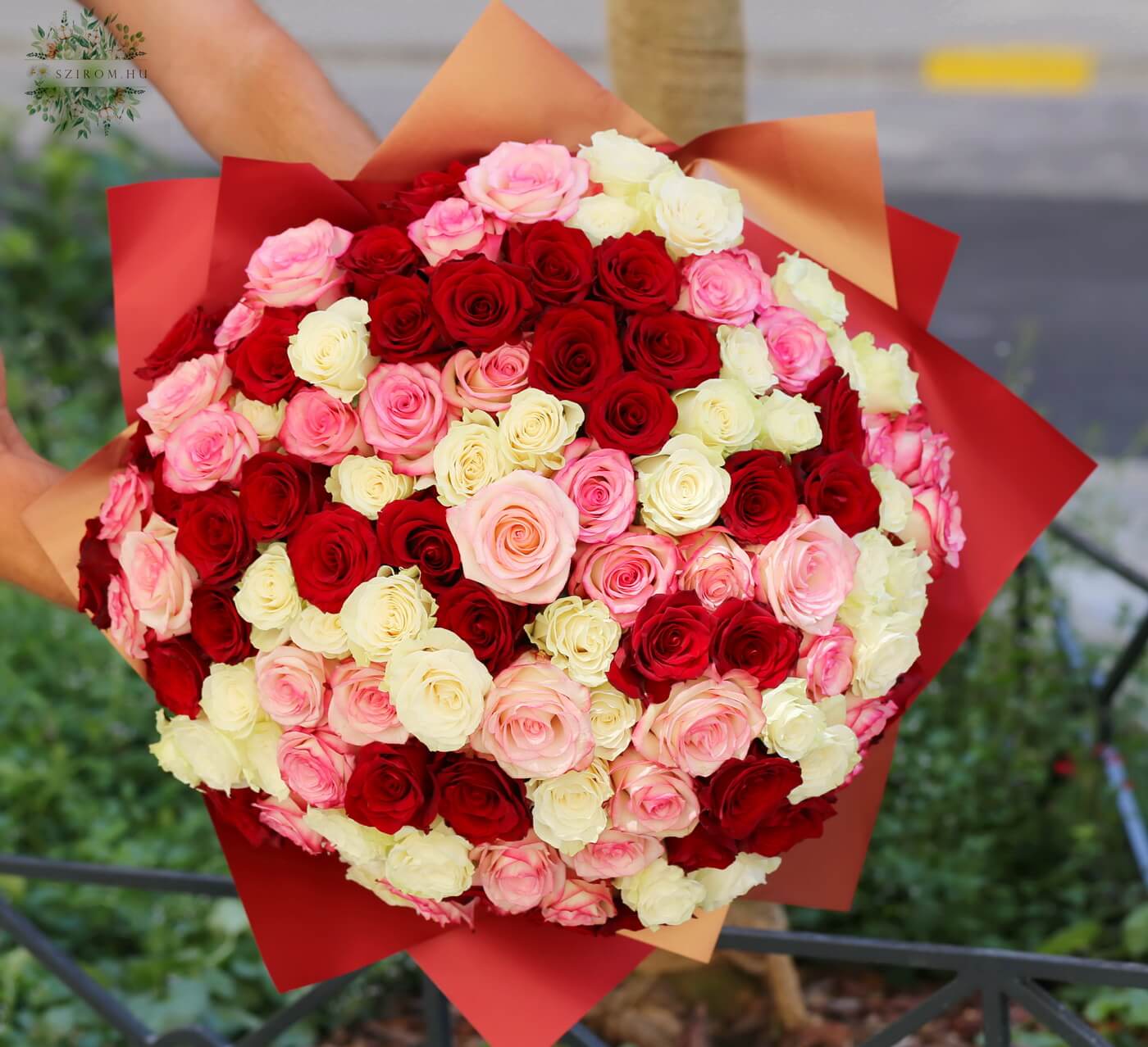 Blumenlieferung nach Budapest - 120 Rosen im Strauß (rot, weiß, zweifarbig)