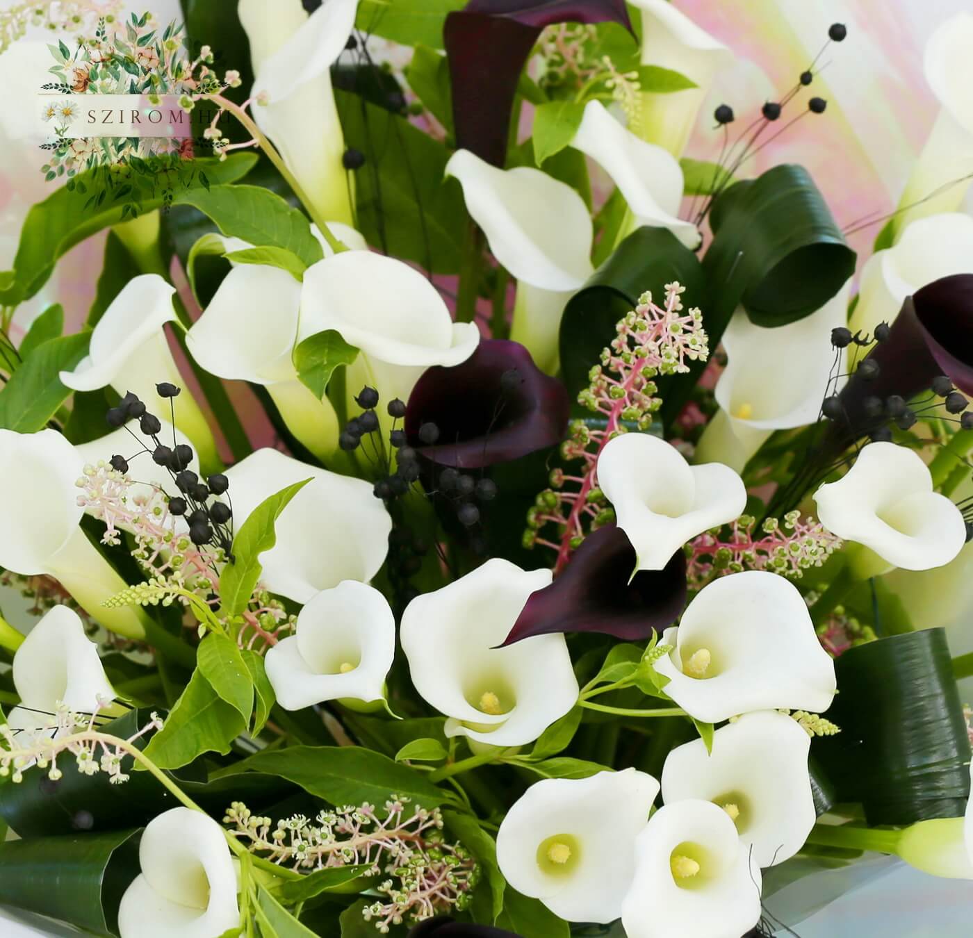 Blumenlieferung nach Budapest - Großer Calla-Strauß (35 Stiele)