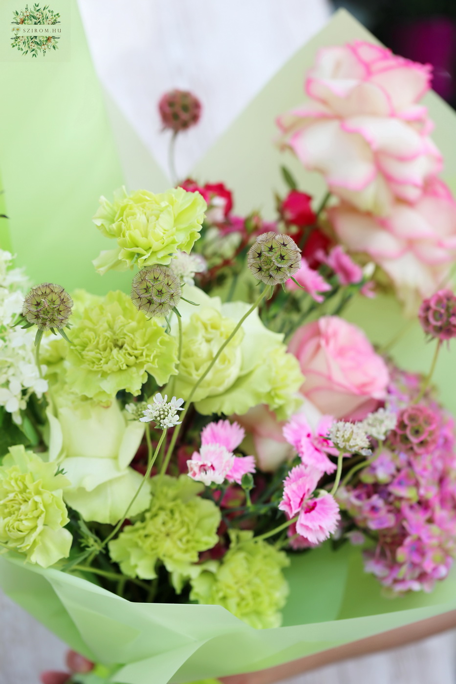 Blumenlieferung nach Budapest - Grün-rosa Halbmondstrauß