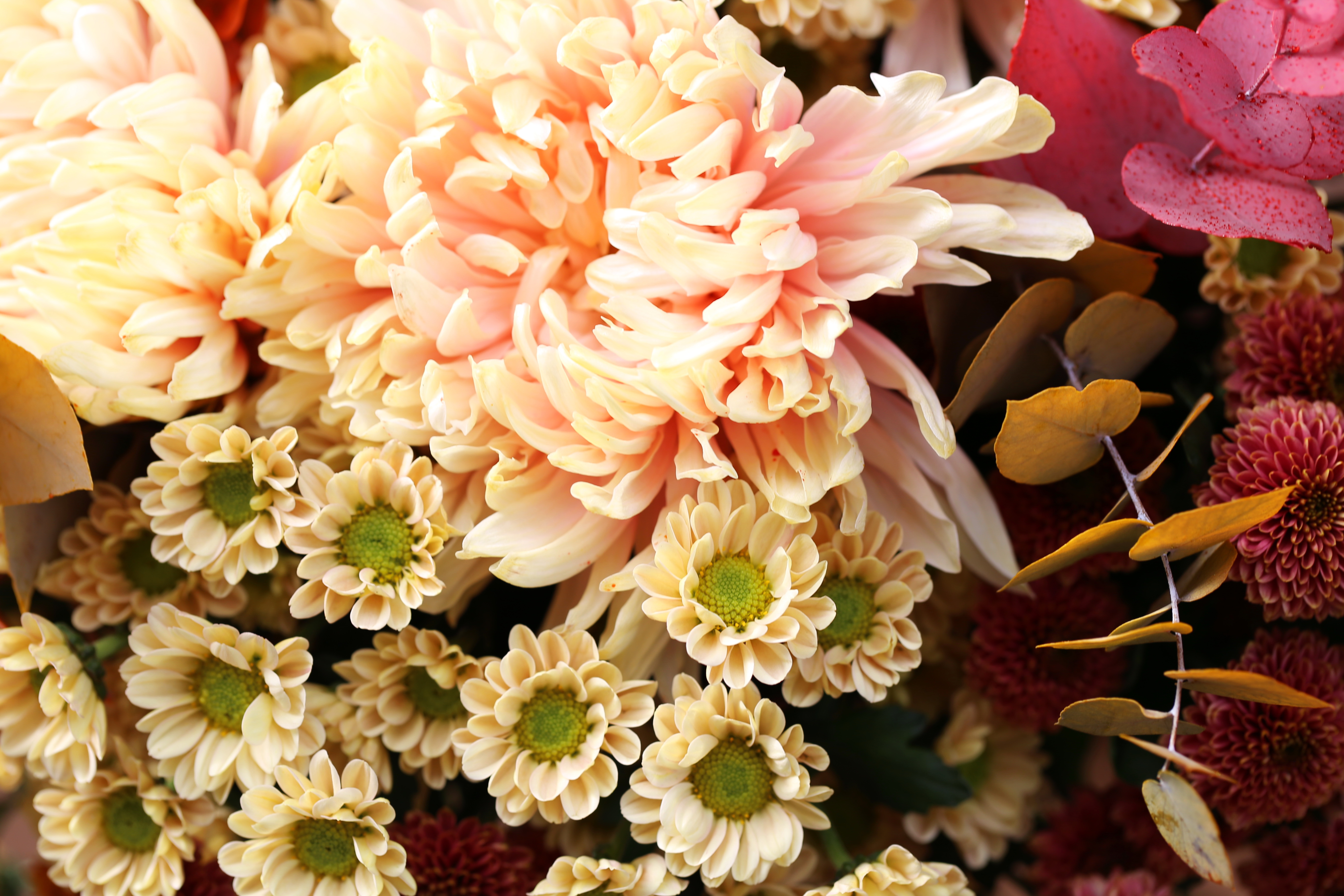 Blumenlieferung nach Budapest - Großer Chrysanthen Herbststraus