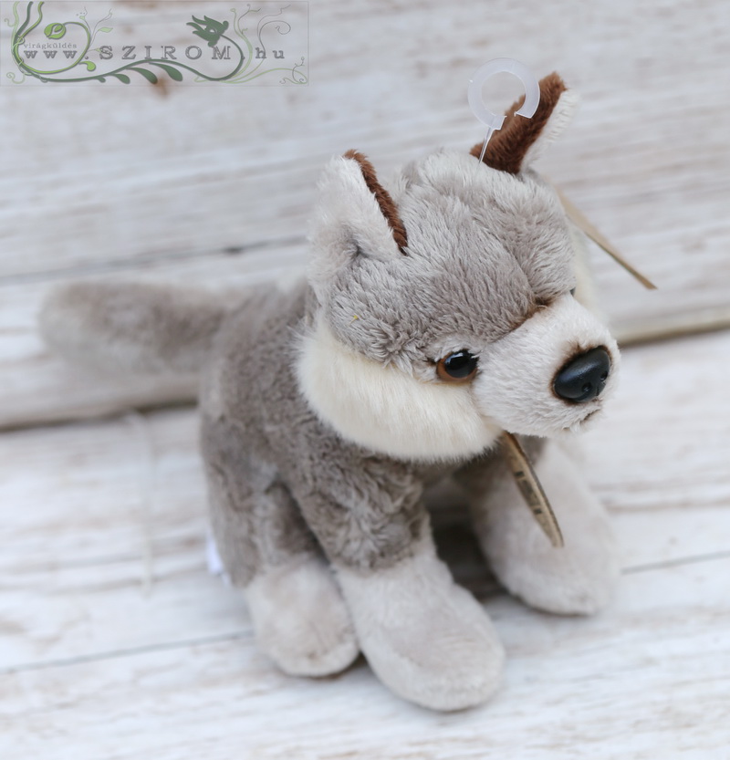 flower delivery Budapest - plush wolf (13cm)