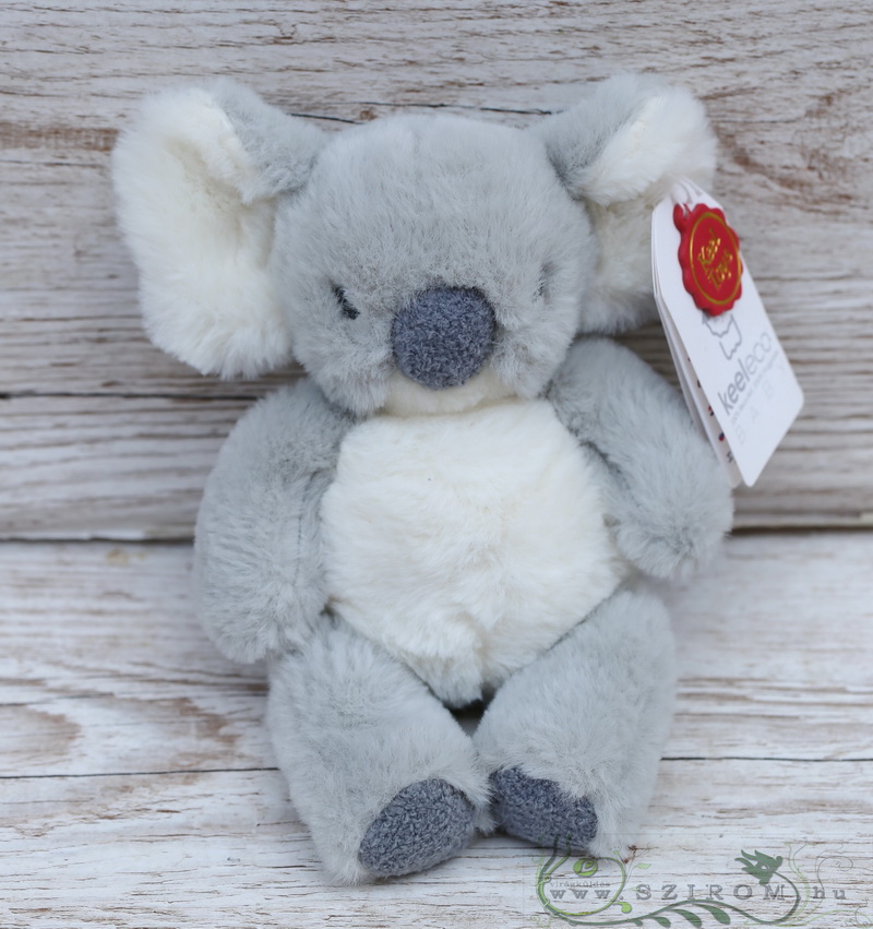 Virágküldés Budapest - plüss koala (20cm)