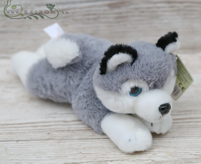 flower delivery Budapest - lying plush dog with blue eyes (25cm)