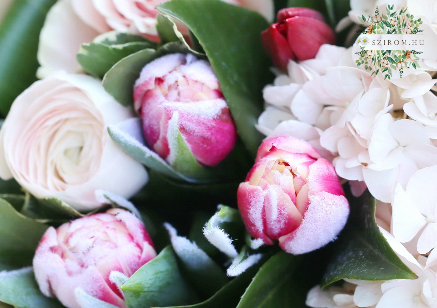 flower delivery Budapest - Early spring bouquet with tulips and hydrangeas (12 stems)