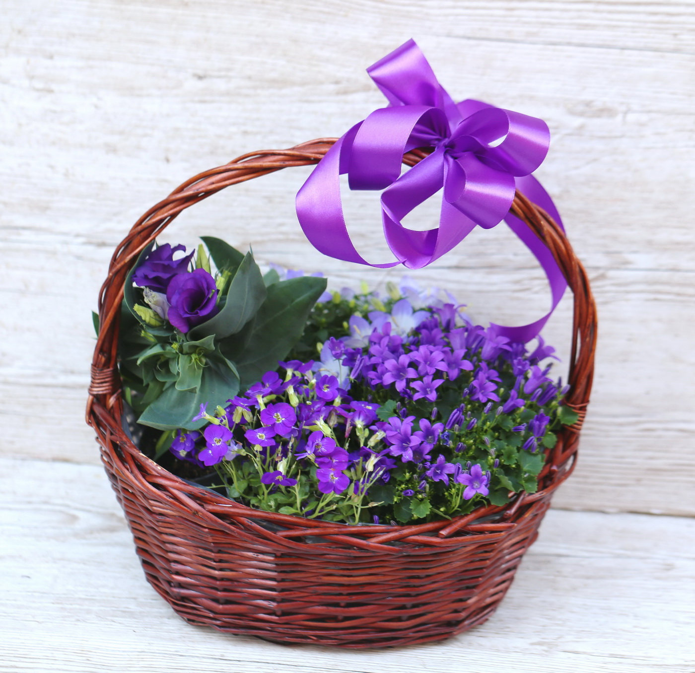 Groer lila Maikorb mit lila Topfpflanzen, Campanula - Express  Blumenlieferung Budapest