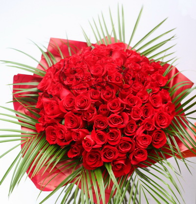 flower delivery Budapest - 80 premium red roses in a huge bouquet