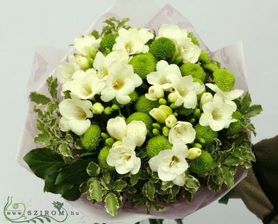 flower delivery Budapest - white freesias and green daisies (15 stems)