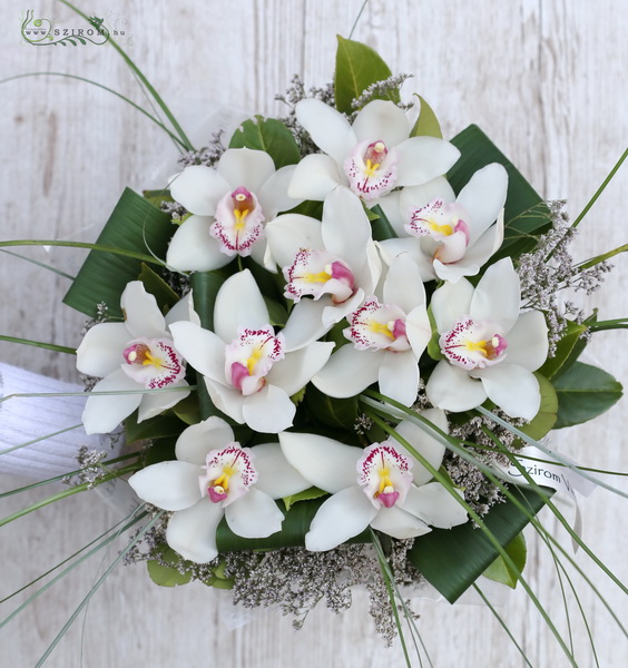 flower delivery Budapest - 10 cymbidium orchids with aspidistra leaves