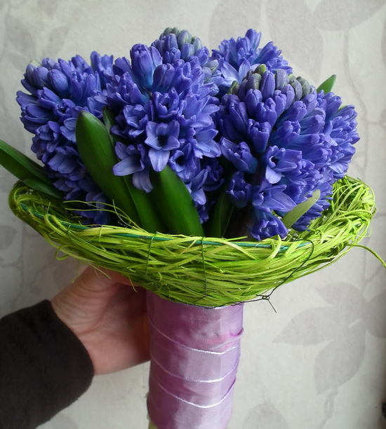 flower delivery Budapest - 10 hyacinth in a bouquet holder