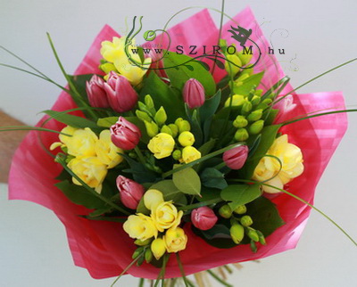flower delivery Budapest - freesia with tulips (20 stems)