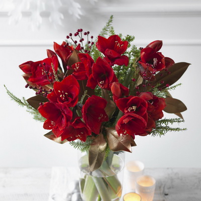 flower delivery Budapest - 5 beautiful amaryllis with 5 hypericum 