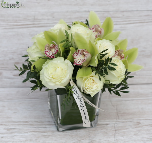 flower delivery Budapest - green orchid with white roses in a glass cube (15 stems)