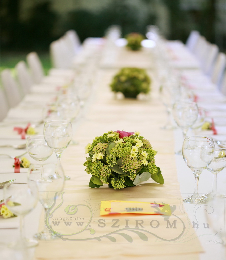 kis gombócok (sedum, rózsa, zöld, rózsaszín), esküvő