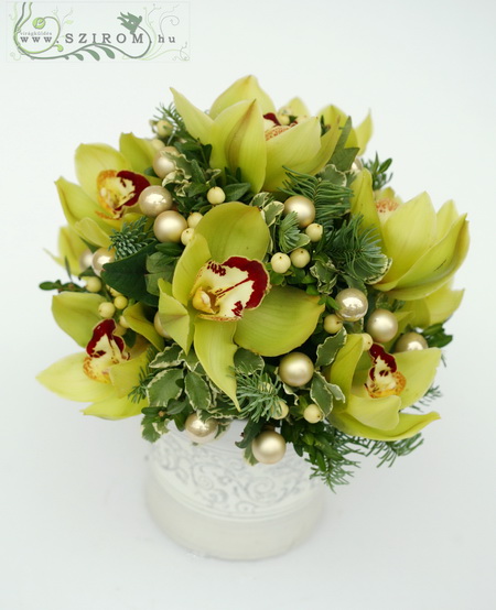 flower delivery Budapest - Christmas orchid arrangement (9 blossoms)