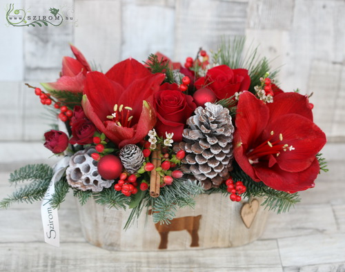 flower delivery Budapest - wooden pot with reindeer, with red flowers